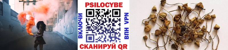 Псилоцибиновые грибы мухоморы Приволжск