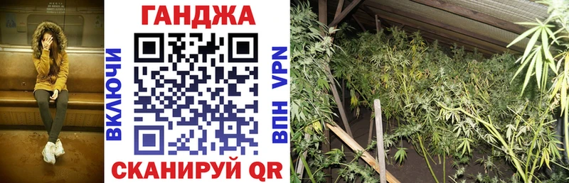 Конопля семена  Приволжск 